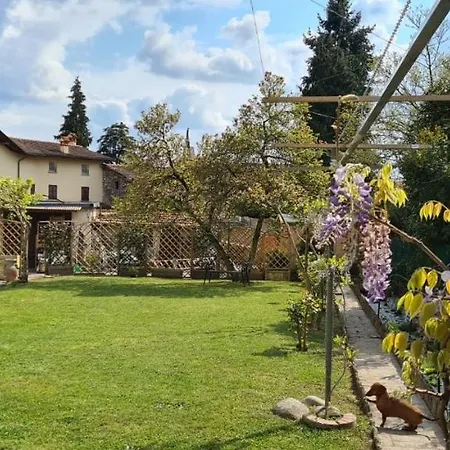 Nocleg ze śniadaniem Dragonfly Bianca Angera