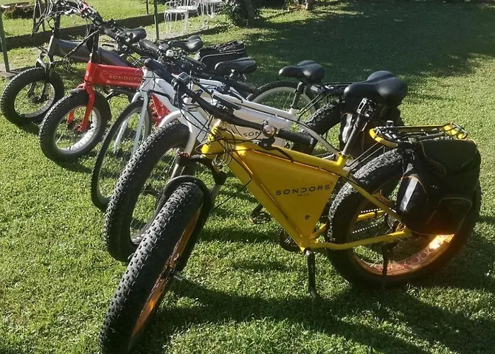 Nocleg ze śniadaniem Dragonfly Bianca Angera