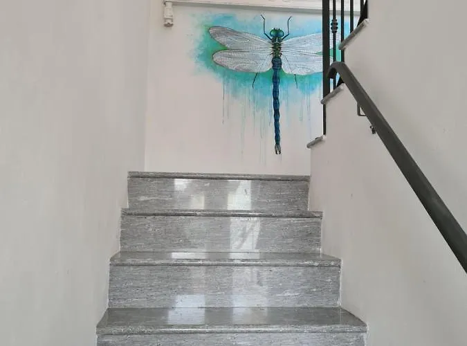 Dragonfly Bianca Nocleg ze śniadaniem