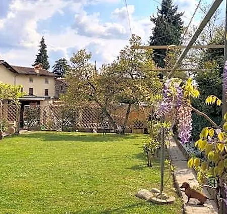 Bed & Breakfast Dragonfly Bianca